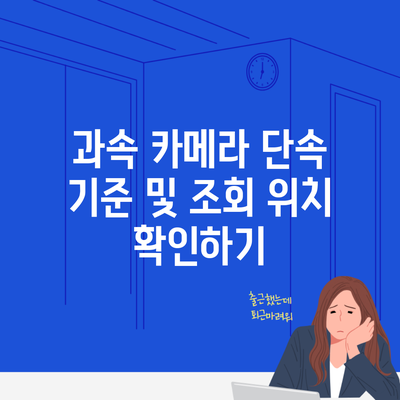 과속 카메라 단속 기준 및 조회 위치 확인하기