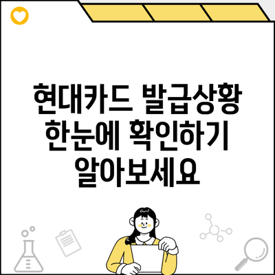 현대카드 발급상황 한눈에 확인하기 알아보세요