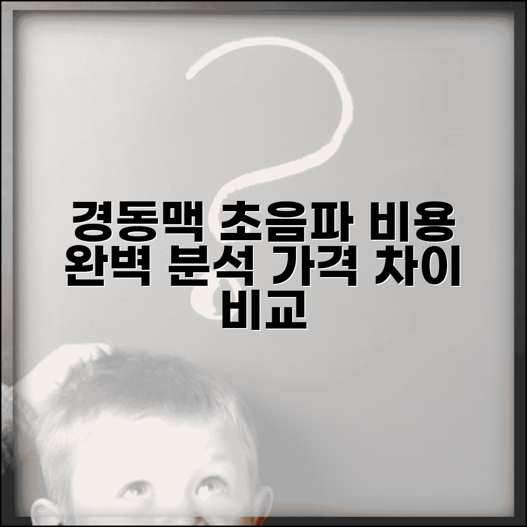 경동맥 초음파 검사비용 상세 분석 | 일반/정밀/양방향 검사 가격 차이