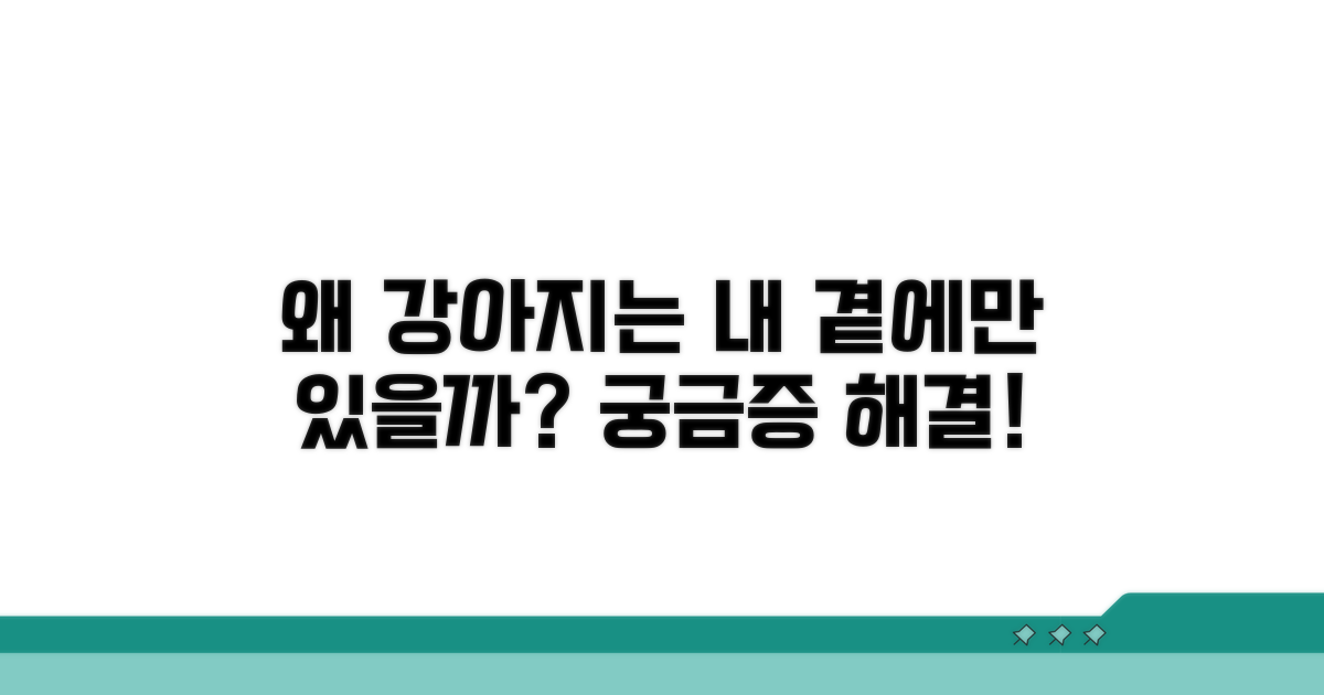 강아지가 보호자를 따라다니는 이유