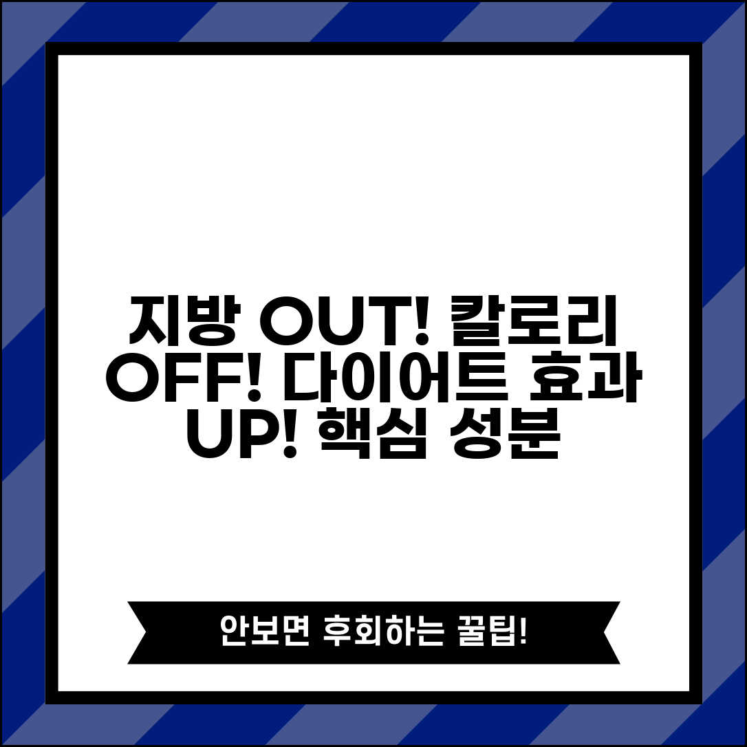 다이어트 보조제 칼로리 차단 지방 분해 효과표