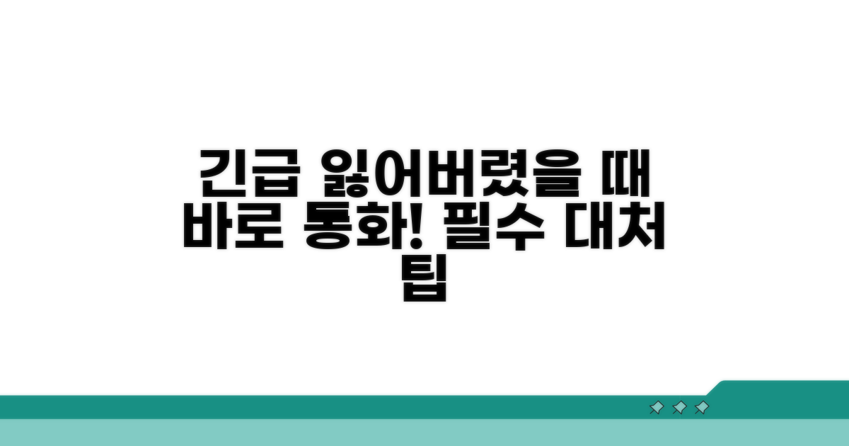 분실 시 대처 방법과 팁