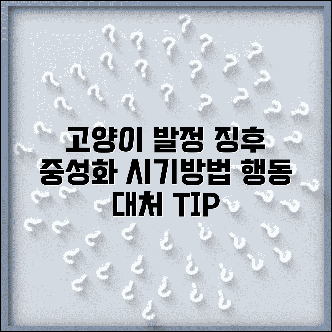 고양이 발정기 증상 중성화 시기 수술 | 고양이 발정 행동 대처 방법