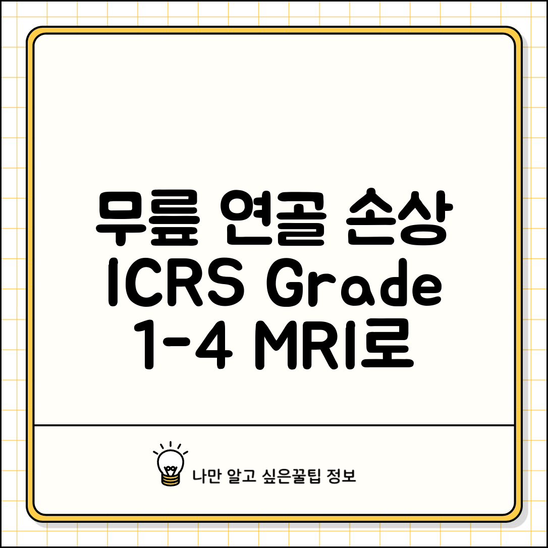 무릎MRI 관절연골손상 cartilage defect 단계 | 연골 손실 ICRS grade 1 2 3 4