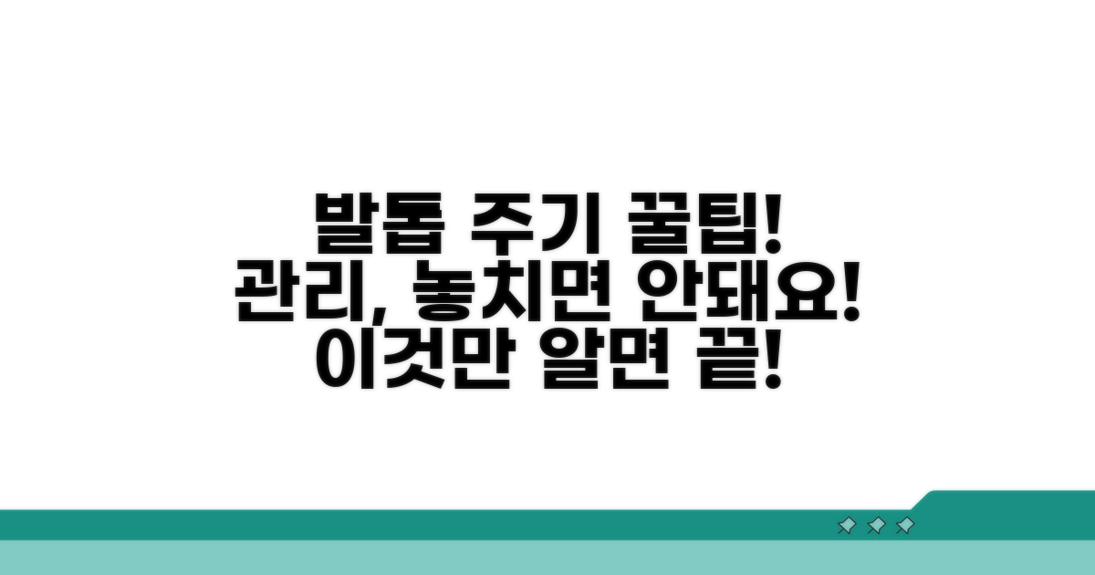 정기적인 발톱 관리, 주기는 이렇습니다.