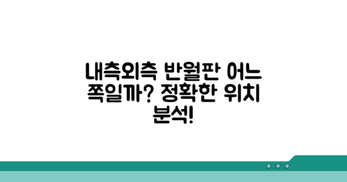 내측 외측 반월판 파열 위치 분석