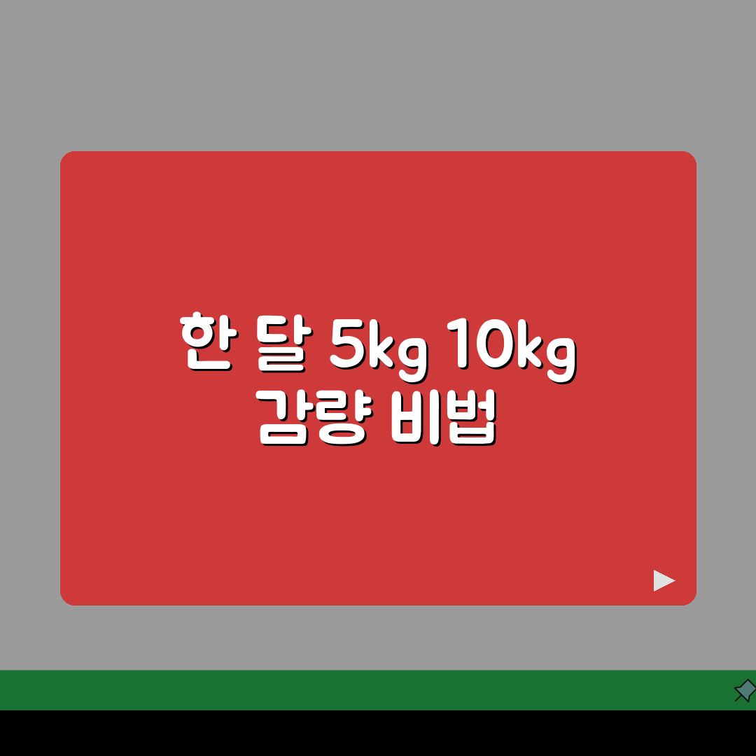다이어트 한 달 5kg 10kg 빼는 방법 현실적, 건강하게 살 빼는 속도 기준은?