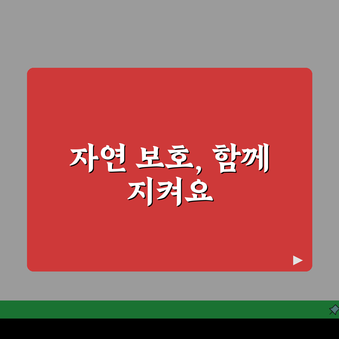 환경보호구역 내 금지 행위 가이드 | 보호지역별 제한 사항 비교 꿀팁 공유해요
